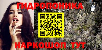крисы Кимры