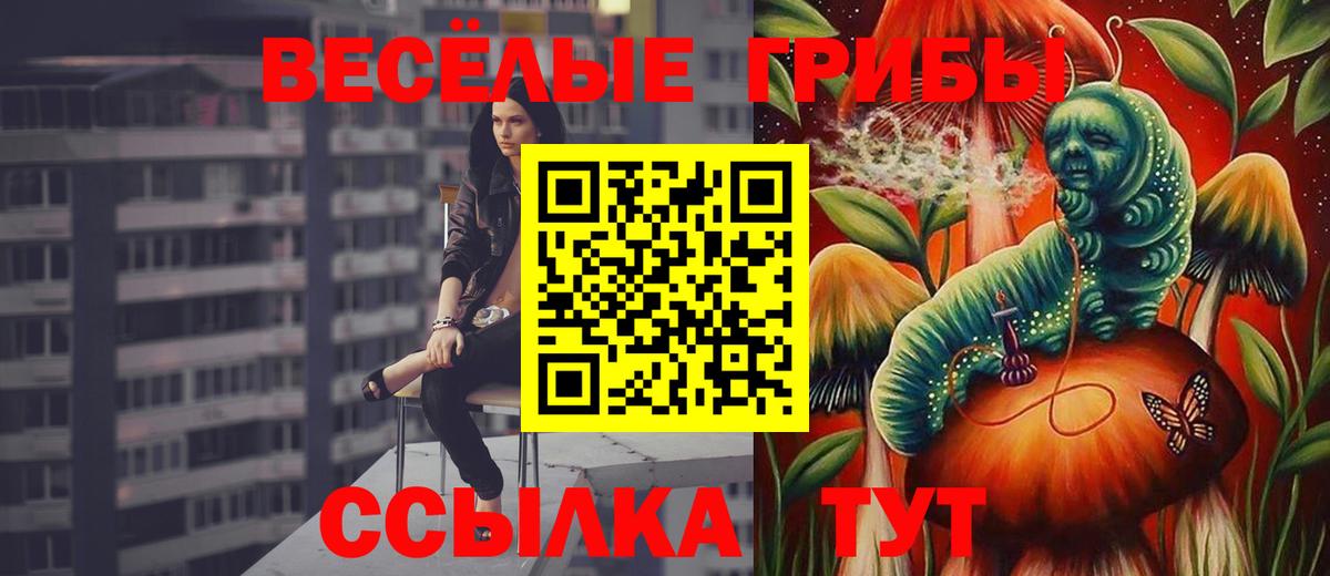 Арзамас  Галлюциногенные грибы мухоморы  Галлюциногенные грибы GOLDEN TEACHER  Вход с VPN 