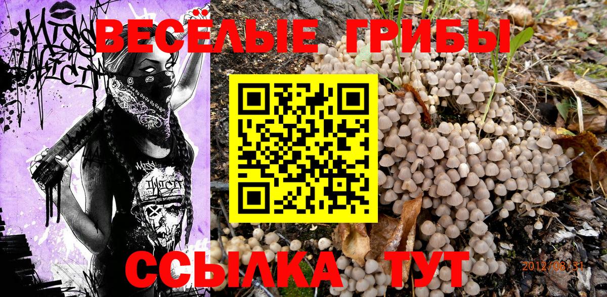 Галлюциногенные грибы прущие грибы Арзамас